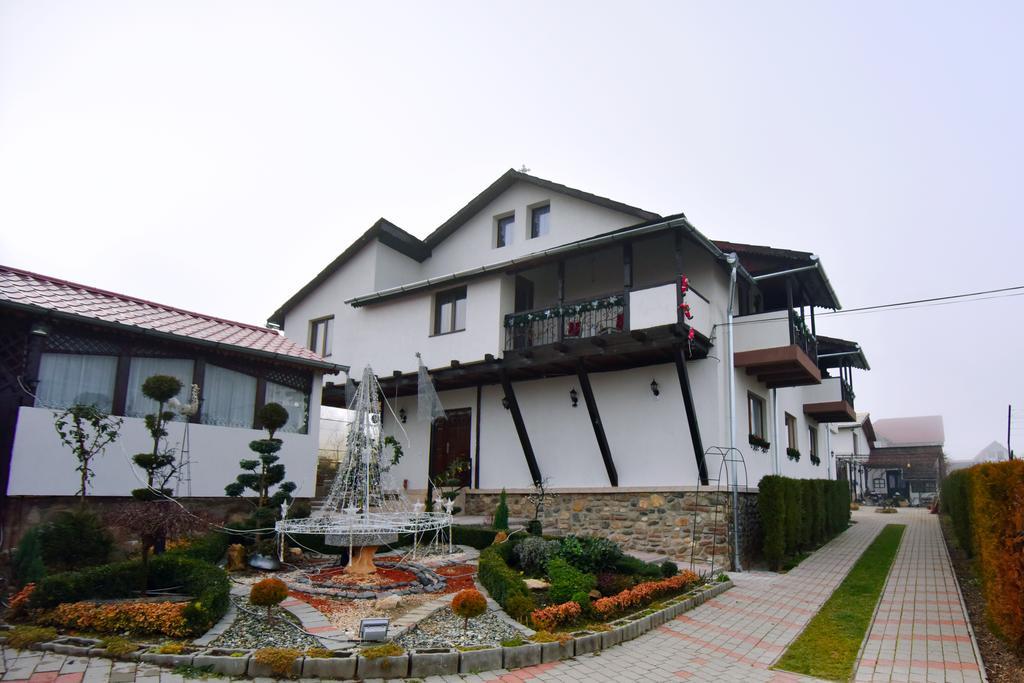 Pensiunea Casa Elena Agnita Zewnętrze zdjęcie